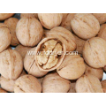 Walnut dryer, dried luster, high quality, fast drying